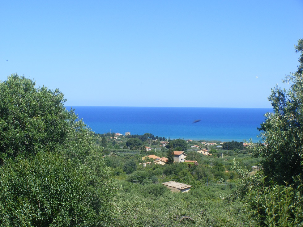 Rif.120 Vendesi terreno agricolo Uliveto C/da Carpinello Collesano